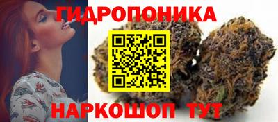 Альфа ПВП Сланцы