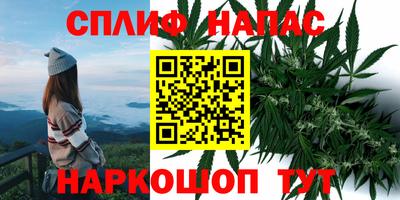 Альфа ПВП Северобайкальск