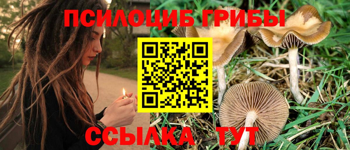 Галлюциногенные грибы мицелий  магазин  наркотиков  Вход с VPN  Нижнекамск  Галлюциногенные грибы мухоморы 