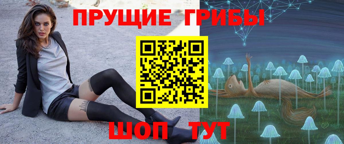 Псилоцибиновые грибы Cubensis Нижнекамск